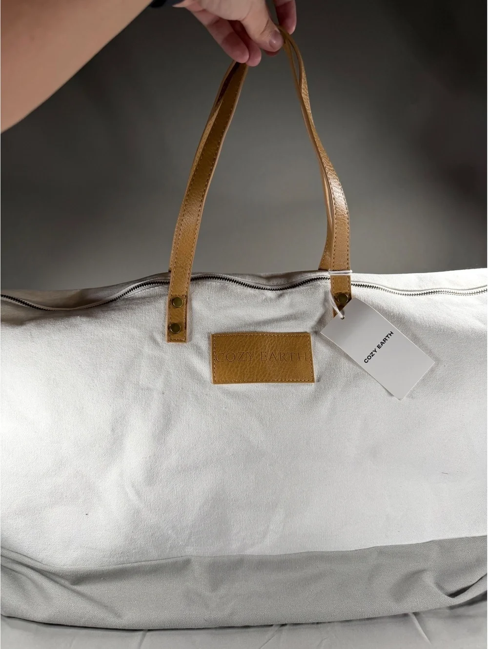 Cozy Earth King Size Silk Pillow Carrying Bag  - White